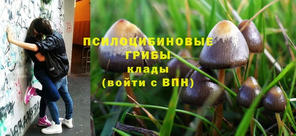 a pvp Алексин