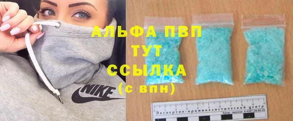 гашик Алексеевка