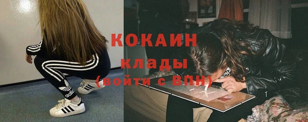 гашик Алексеевка